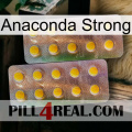 Anaconda Strong new10